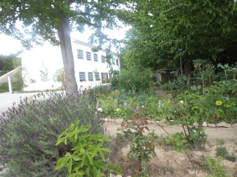 A horta visto da entrada, no topo junto ao portão.Vê-se ao fundo a coelheira e galinheiro,leguminosas, plantas aromáticas e árvores de fruto.